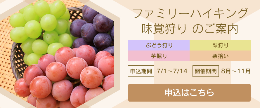 ファミリーハイキング 味覚狩り のご案内